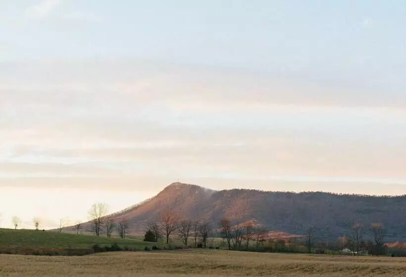 Cave Hill Farm Bed & Breakfast