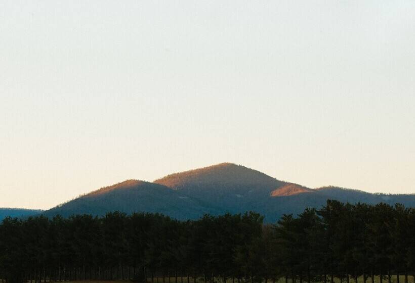 Cave Hill Farm Bed & Breakfast