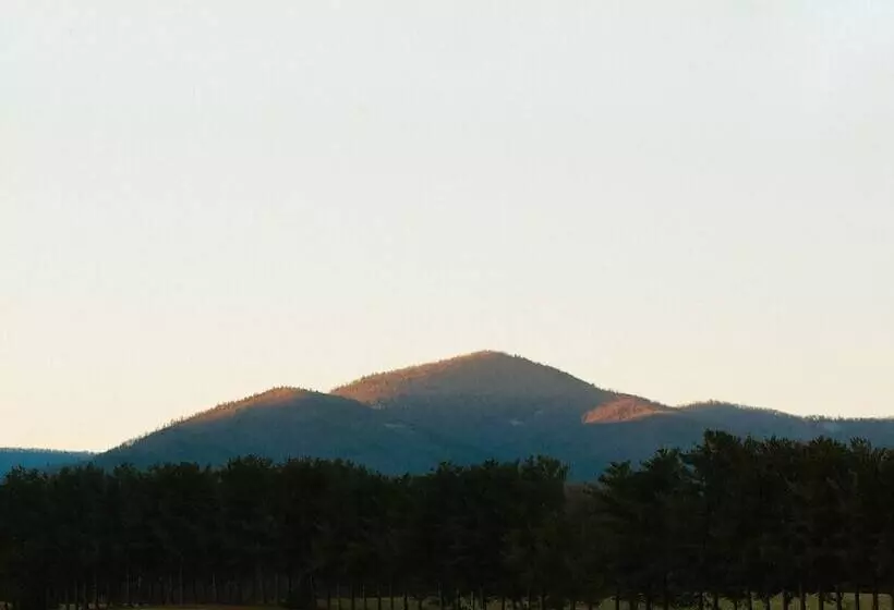 Cave Hill Farm Bed & Breakfast