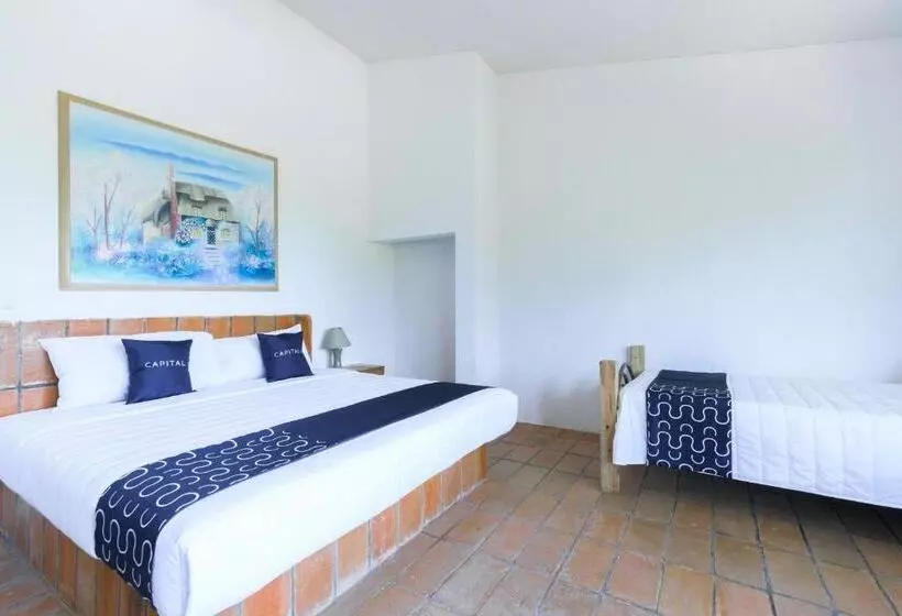 Cotlamani Hotel Aventura