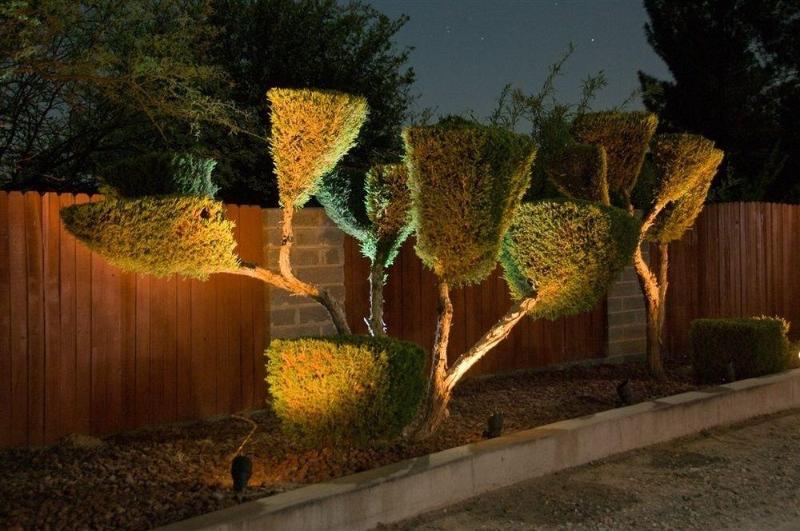 Desert Rose Bed And Breakfast