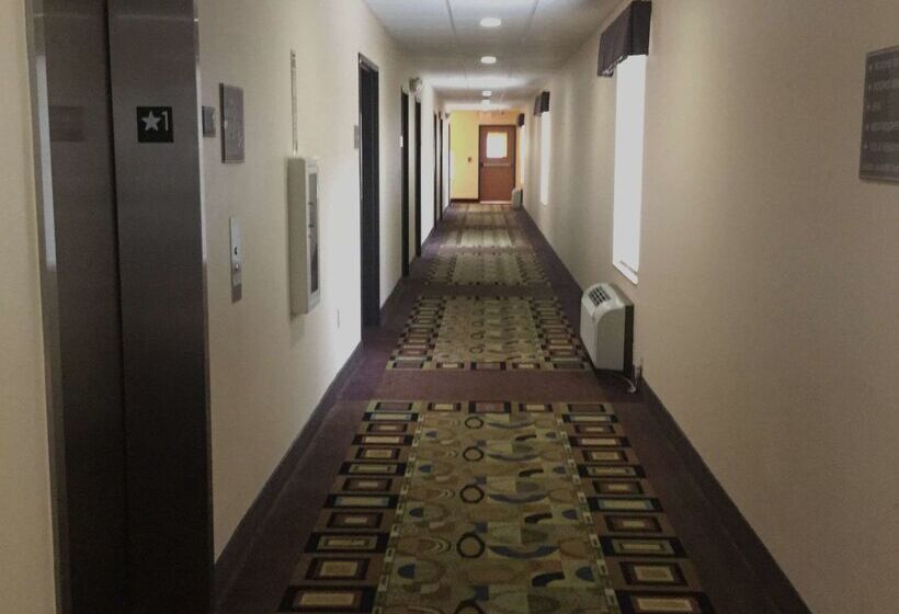 Szálloda Americas Best Value Inn Saint Robert/fort Leonard Wood