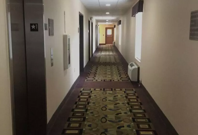 ホテル Americas Best Value Inn Saint Robert/fort Leonard Wood