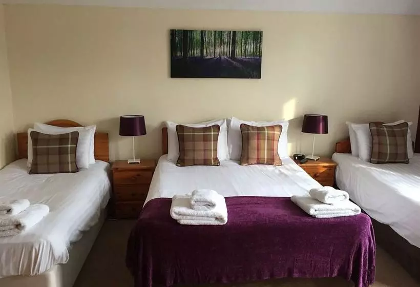 호텔 Escrick Black Bull