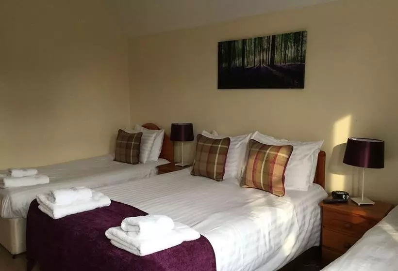 호텔 Escrick Black Bull