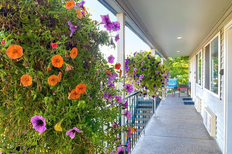 Отель Resort City Inn Coeur D Alene