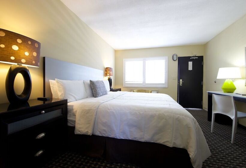 בית מלון כפרי Sole Inn And Suites