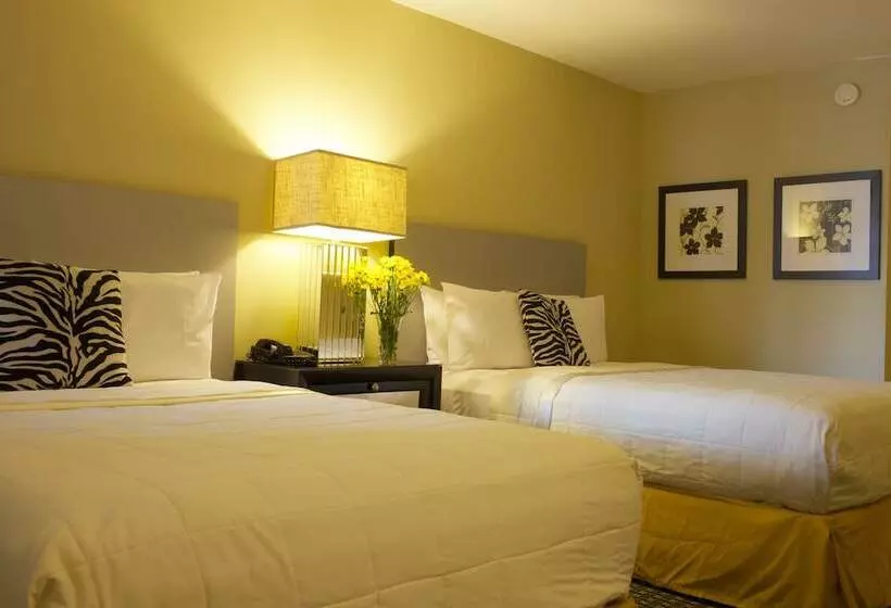 Hotelli Sole Inn And Suites