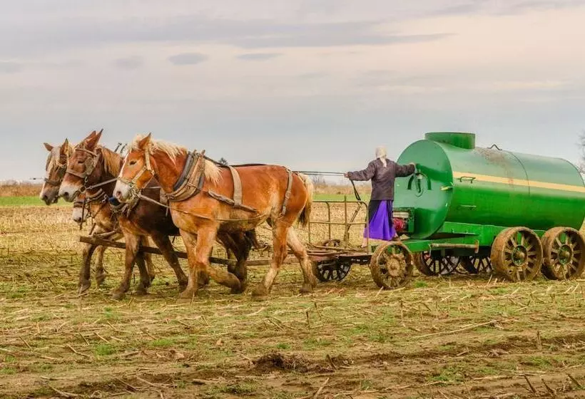 汽车旅馆  Harvest Drive Family Inn  Renovated Rooms