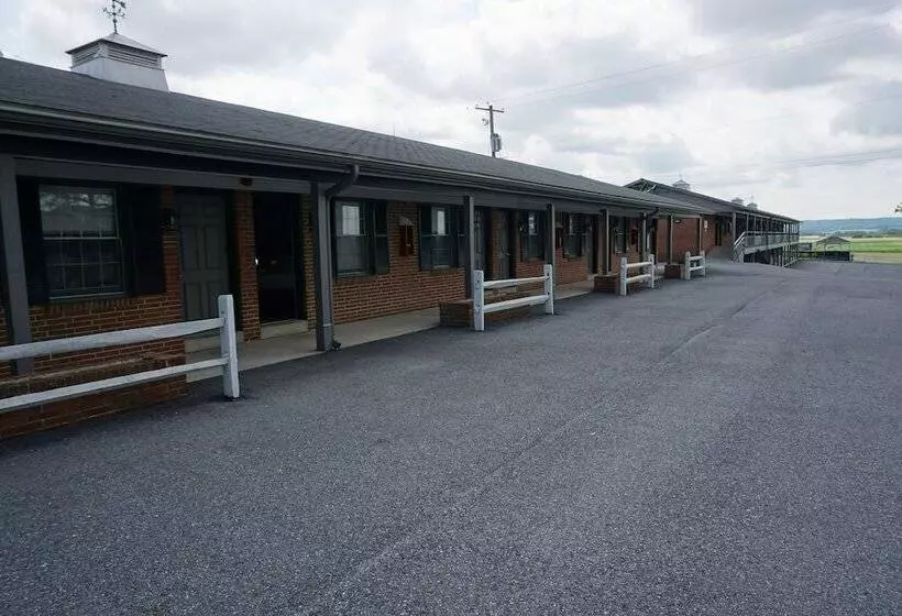 汽车旅馆  Harvest Drive Family Inn  Renovated Rooms