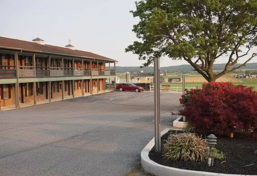 汽车旅馆  Harvest Drive Family Inn  Renovated Rooms