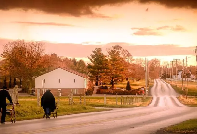 汽车旅馆  Harvest Drive Family Inn  Renovated Rooms