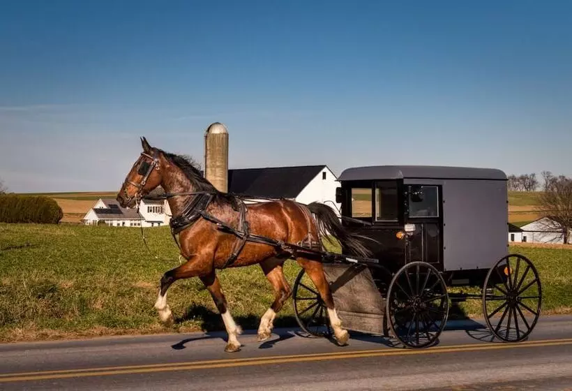 汽车旅馆  Harvest Drive Family Inn  Renovated Rooms