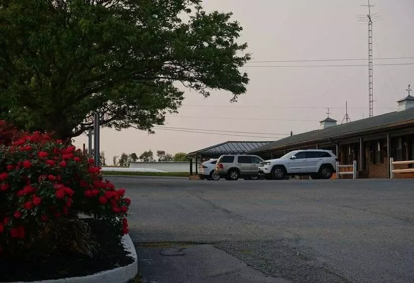 汽车旅馆  Harvest Drive Family Inn  Renovated Rooms