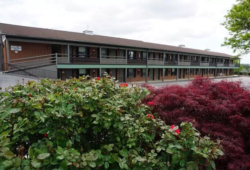 汽车旅馆  Harvest Drive Family Inn  Renovated Rooms