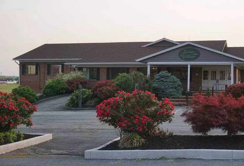 汽车旅馆  Harvest Drive Family Inn  Renovated Rooms