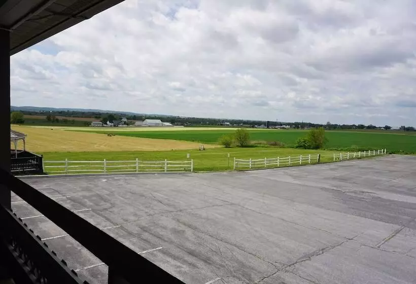 汽车旅馆  Harvest Drive Family Inn  Renovated Rooms