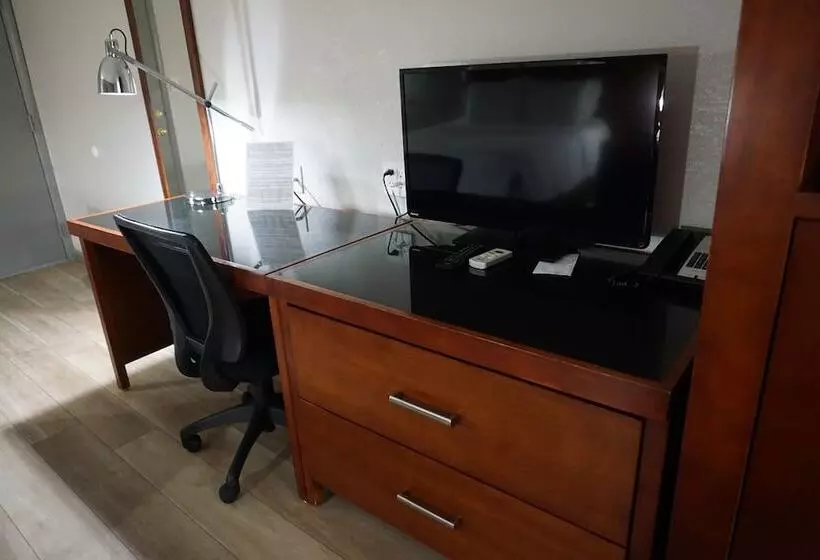 汽车旅馆  Harvest Drive Family Inn  Renovated Rooms