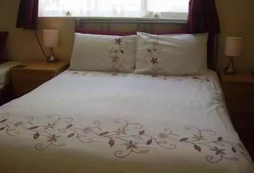 膳宿费 Aidansdale