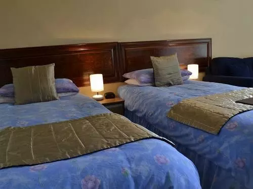 Pension (Hôtel basse catégorie) Park Hill Gwesty Bryn Parc