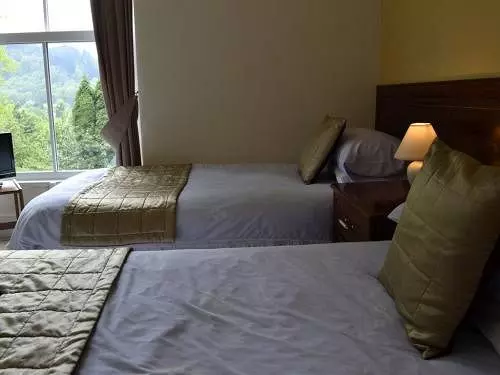 Pension (Hôtel basse catégorie) Park Hill Gwesty Bryn Parc