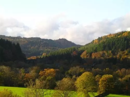 Pension (Hôtel basse catégorie) Park Hill Gwesty Bryn Parc