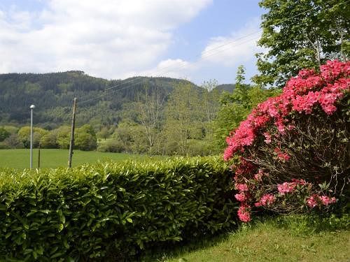 بنسيون Park Hill Gwesty Bryn Parc