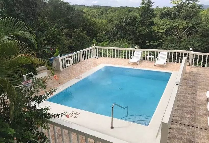 پانسیون Retreat Guesthouse Luxury Suites