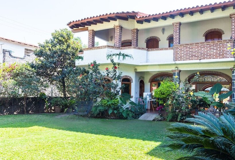 Hostel Colibrí Turquesa