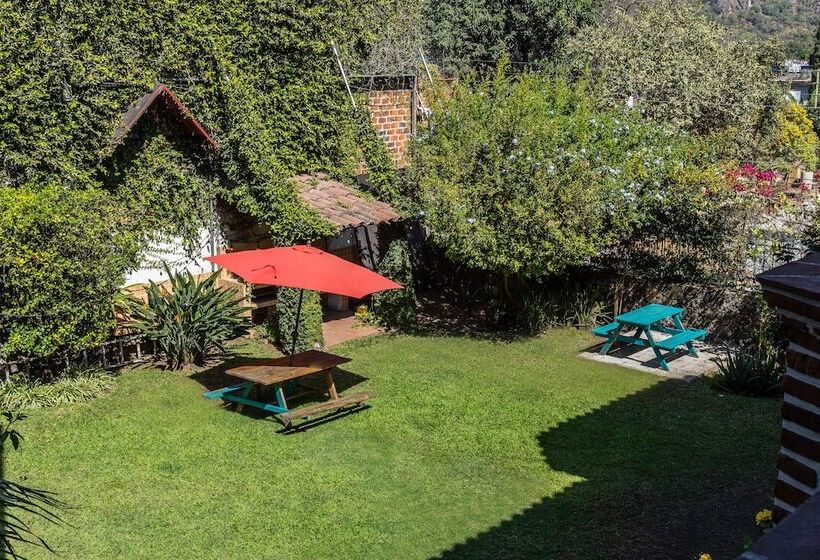 Hostel Colibrí Turquesa