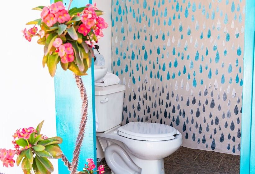 Hostel Colibrí Turquesa