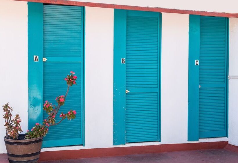 Hostel Colibrí Turquesa