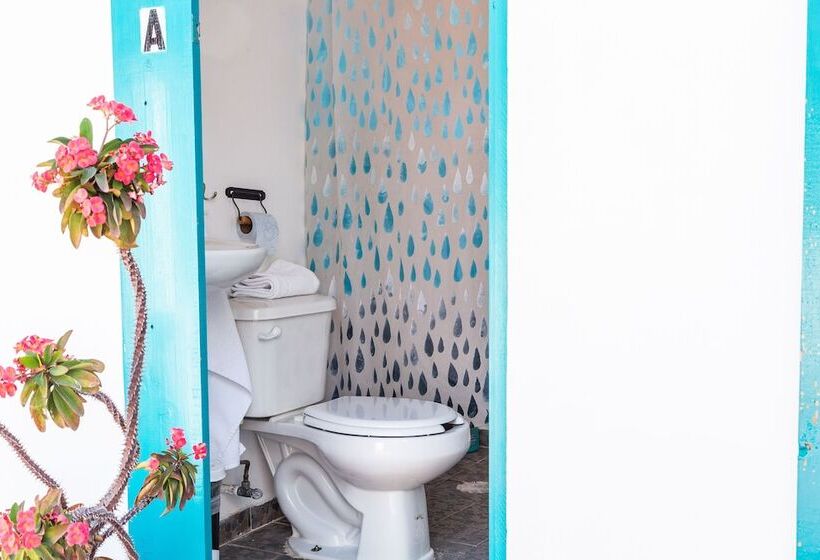 Hostel Colibrí Turquesa