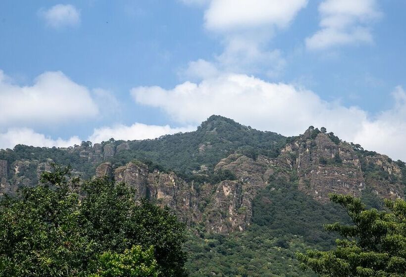 Hostel Colibrí Turquesa