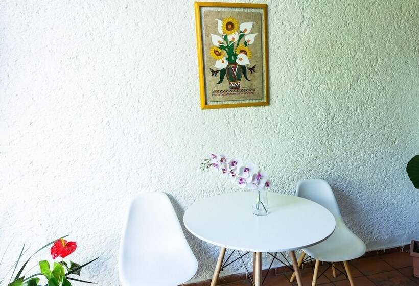 Hostel Colibrí Turquesa