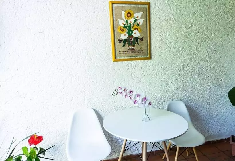 ユースホステル Colibrí Turquesa