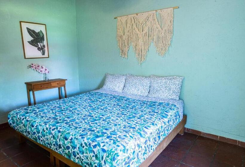 Hostel Colibrí Turquesa