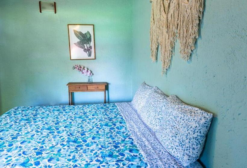 Hostel Colibrí Turquesa