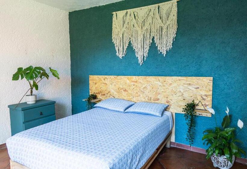 Hostel Colibrí Turquesa