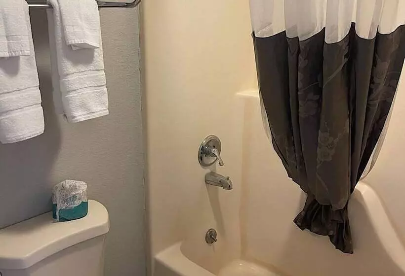 ホテル Branson Ozarks Inn
