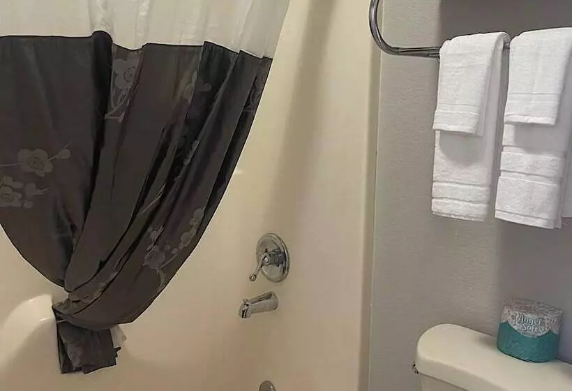 ホテル Branson Ozarks Inn