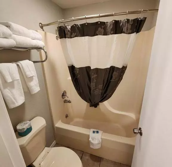 ホテル Branson Ozarks Inn