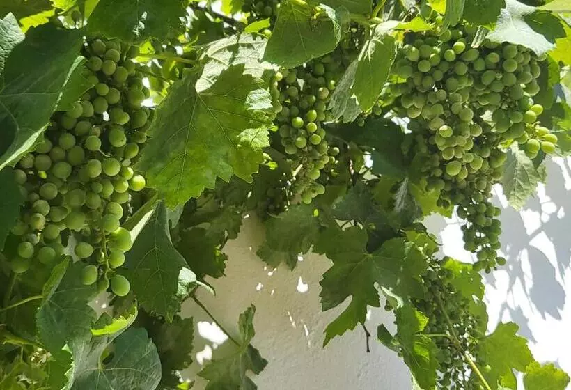 ペンション Casa Aventura