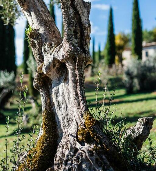 Пансион Le Clos Celine