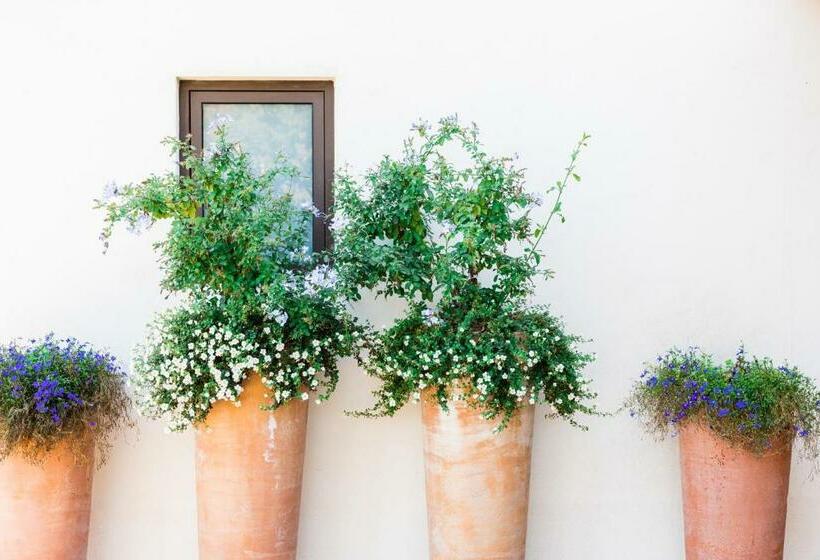 Пансион Le Clos Celine