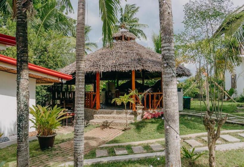 Pensiune Palmera Palma Garden Level