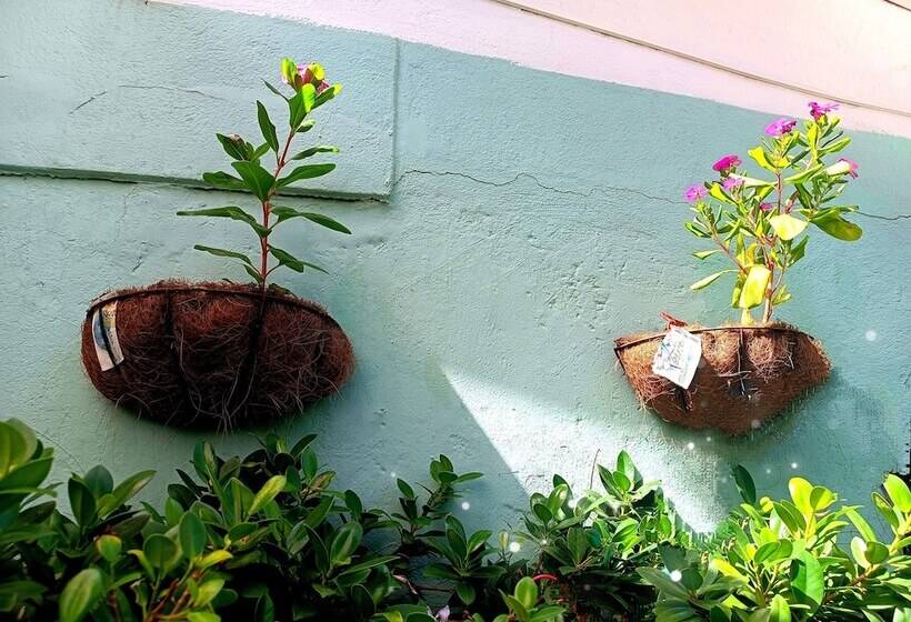 پانسیون Room In House Posada Nativa Green Sea San Luis