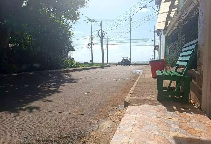 ペンション Room In House   Posada Nativa Green Sea San Luis