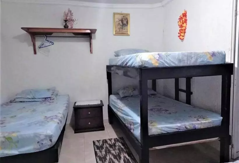 ペンション Room In House   Posada Nativa Green Sea San Luis