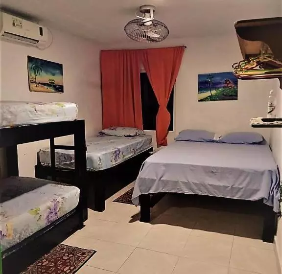 ペンション Room In House   Posada Nativa Green Sea San Luis